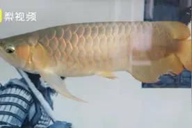 月入过万或年接10000单！除了“品水师”，还有这些新兴职业你了解吗......图片