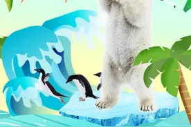 萌化了！看蓬莱海洋极地世界的动物们“花式”过夏天！图片