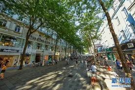 奥地利维也纳着力打造绿色城市图片