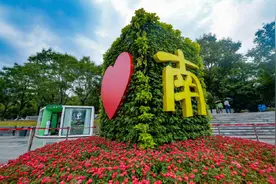 “我爱南京”绿魔方亮相街头图片