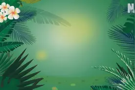 珍稀动物“拍了拍”你！暑假一起玩图片
