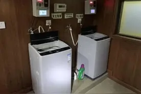 小动物跑到洗衣机里睡大觉，一抓就咬人，还放了极臭无比的屁图片