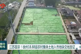 江苏首宗！徐州18.88亩农村集体土地入市地块交地发证视频封面