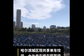 哈尔滨市区现共享单车坟场，城管称违规占道被运过来，单车客服回应图片