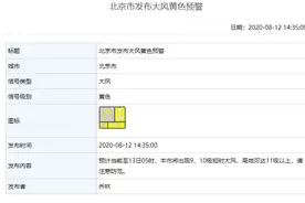 北京升级大风黄色预警 局地可达11级以上图片