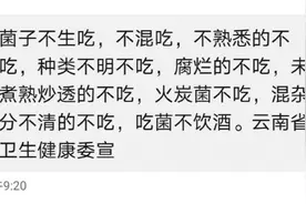 不要把任何一种蘑菇轻易丢进嘴里图片