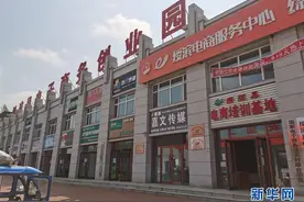 习近平总书记关切事｜激发每个经济“细胞”的活力——千方百计把市场主体保护好图片