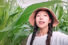 我和父亲的“边城”故事图片