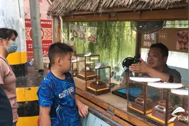 济南一男子化身“鸟妈妈”，用嘴裹出中毒鸟儿胃液，成功救活白头翁图片