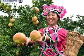 决战决胜脱贫攻坚丨7贫困县全部摘帽！云南楚雄贫困发生率下降至0.46%图片