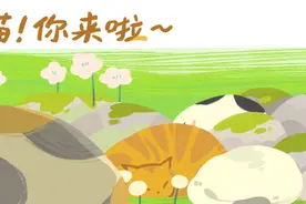 “喂了自家狗一盒罐头，它把流浪朋友全带过来了！”图片