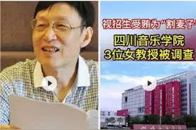 川音三教授涉招生腐败，艺考“潜规则”是如何形成的图片