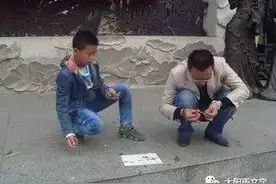 尊重弱小的生命（随笔）图片