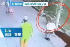 遛狗老人被高空坠猫砸晕，金毛犬堵住肇事猫，不让其“离开”？图片