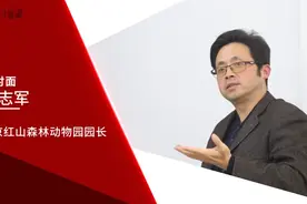 面对面 | 红山动物园园长沈志军：想到大象睡觉时难受的样子，我心疼图片