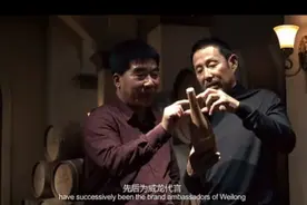 国内有机葡萄酒大王王珍海或黯然离场 民间借贷债权人将上位ST威龙？图片
