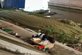 周口沙颍河内频现地笼 犹如布下鱼虾“绝命阵”图片