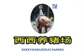 设计总监开的养猪场，终于要换新LOGO了图片