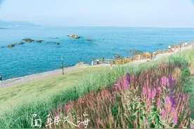 网红打卡地 | 在小麦岛温柔的海风中，邂逅浪漫~图片