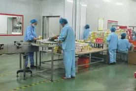 早康枸杞：科技创新引领“小红果”的大未来图片