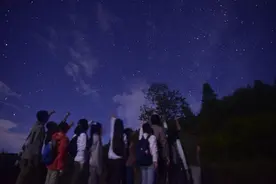 徒步、观星……深圳娃暑假走进森林，感受自然教育的魅力图片