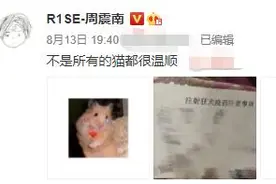 周震南被猫抓伤晒狂犬疫苗单 何洛洛搞笑回应图片