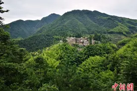 浙江丽水实现“绿色赶超”：守绿之城“点金”逆袭图片