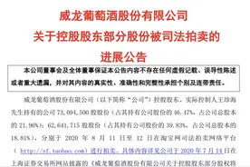 实控人股权拍卖落幕，多重风险致ST威龙“风雨飘摇”图片