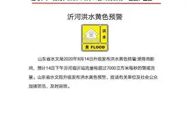 山东局部降特大暴雨！水文局发布沂河、沭河洪水黄色预警图片