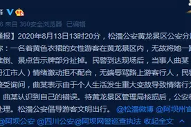 无故推倒景区垃圾桶、扯掉景点告示牌 女子将被四川警方处理图片