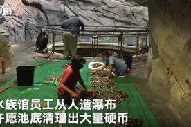 美国一水族馆资金告急许愿池硬币救急！网友：小时候愿望实现了？图片