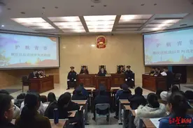 3名“套路贷”嫌疑人因诈骗罪获刑并被处罚金 迟迟不缴案款法院强制执行图片