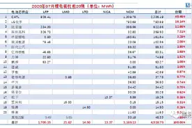 首次冲进前十，不锈钢龙头青山控股旗下公司成中国动力电池行业黑马图片