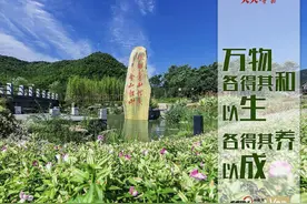 天天学习｜万物各得其和以生 各得其养以成图片