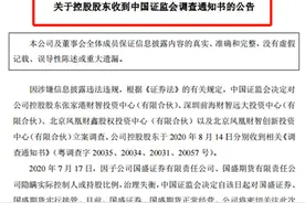 国盛金控再遭打击！控股股东遭立案调查，隐瞒实控人或持股比例，国盛证券数日前刚被接管图片