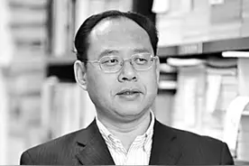 历史长河中的魏碑之韵图片