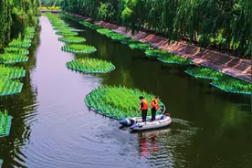 黑臭水体脱黑三难图片
