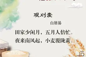 经典诗词话勤俭，一起对餐饮浪费行为说不图片