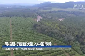 阿根廷柠檬首次进入中国市场视频封面