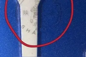 车牌上的“小秘密”被发现了：陕西是兵马俑、四川是熊猫图片
