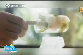 夏季专属小幸福：简单高颜值的水果棒冰教程来了！家人宠物都喜欢视频封面
