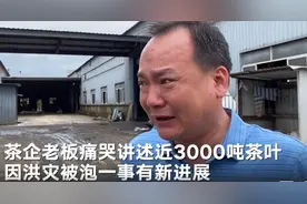 歙县茶企3000吨茶叶被泡后续：已凑得部分资金，如期支付茶农图片