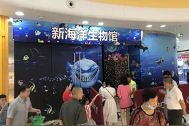 云投诉 | 四川眉山万达海洋馆“盛大”开放？市民吐槽：鲨鱼咋跟花鲢一个样……图片