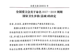 萧山这11个镇街，美成“国家级”！图片