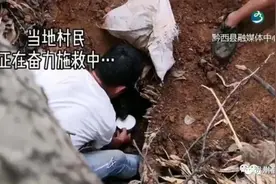 奇迹！被困废墟一个多月！贵州这条小狗获救图片