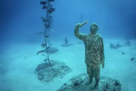 这12处海底奇景吸引全球目光，不靠虾兵蟹将图片