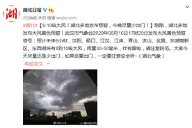 8-10级大风！湖北多地发布预警，今晚尽量少出门图片