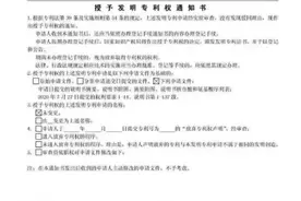 陈薇团队获得国内首个新冠疫苗专利图片