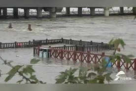 河水暴涨湖心岛变孤岛 临沂消防员架9米拉梯洪水中巧妙营救46人图片