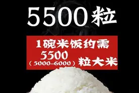 一碗米饭的诞生记图片